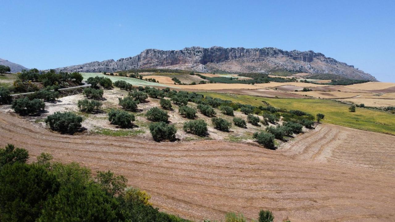 La Posada Del Torcal Villanueva de la Concepción Zewnętrze zdjęcie